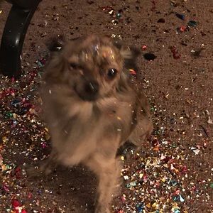 Meet your Posher, Jaycee